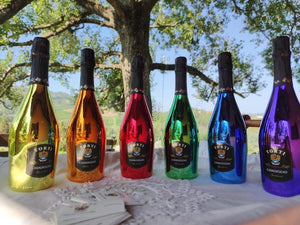 Red Edition Sparkling Wine Colourful Rainbow Collection Italian DOC