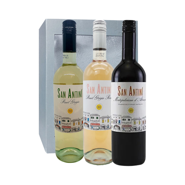 Italian Wine San Antini Gift MB