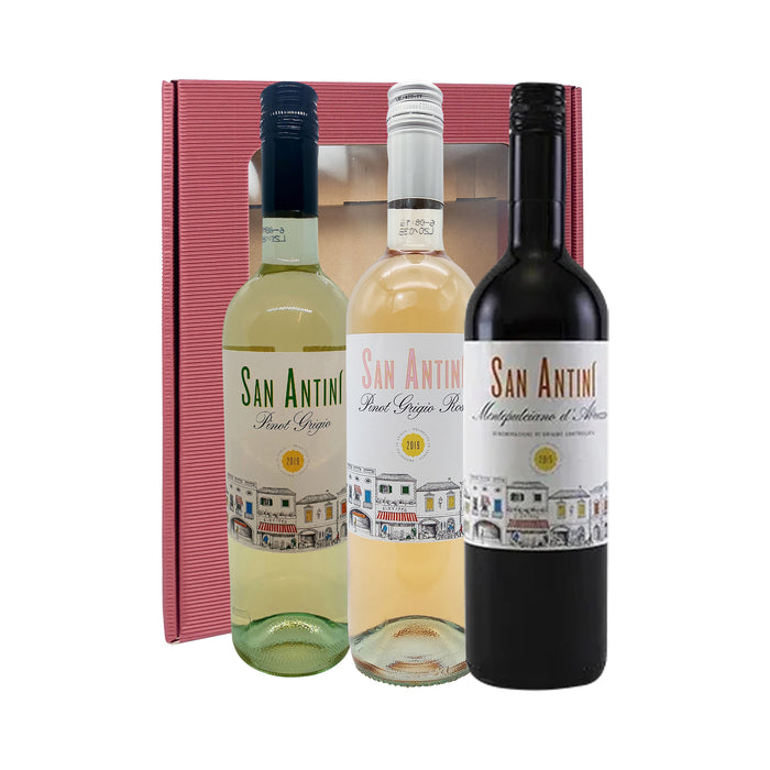 Italian Wine San Antini Gift RB